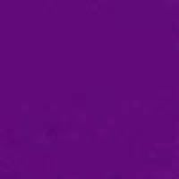 Solid (Purple) Double Cargo Pocket Board Shorts (Select Custom Outseam 17" - 30") - Board Shorts World