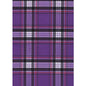 "Casual Friday" Plaid Womens Board Shorts - Regular Rise / 10.5" Inseam (Purple)
