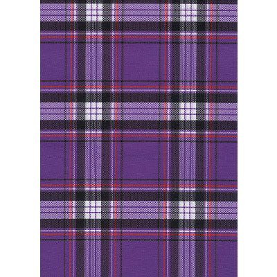 "Casual Friday" Plaid Women's Board Shorts - Regular Rise / 5" Inseam (Purple) - Board Shorts World