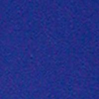 "A Solid Color" Mens Elastic Waist Board Shorts - 17.5" Outseam / 5" Inseam (Royal) - Board Shorts World