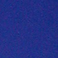 A Solid Royal Board/Swim Pants - Womens CUSTOM - Board Shorts World