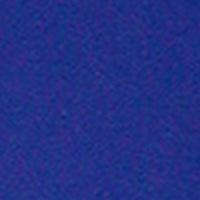 "A Solid Color" Mens Board Shorts w/ Dual Cargo Pockets. 17.5" Outseam / 5" Inseam (Royal) - Board Shorts World