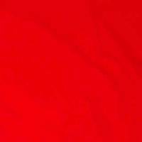 "A Solid Color" Women's Elastic Waist (Swim) Board Shorts. HIGH Waist/Rise + 11" Inseam (Red) - Board Shorts World