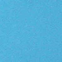 "A Solid Color" Mens Board Shorts - 19.5" Outseam / 7" Inseam (Turquoise) - Board Shorts World