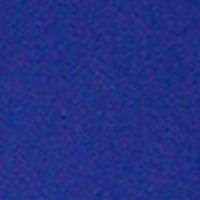 "A Solid Color" Mens Board Shorts - 19.5" Outseam / 7" Inseam (Royal) - Board Shorts World