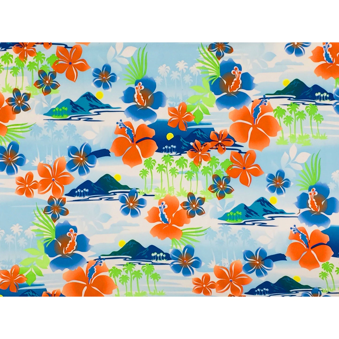 "2 Tickets to Paradise" (6.5" Inseam / 19" Outseam) Swim Trunks - Board Shorts World