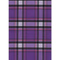 "Casual Friday" Plaid Womens Board Shorts - Regular Rise / 7" Inseam (Purple)