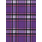 "Casual Friday" Plaid Mens Board Shorts - 17.5" Outseam / 5" Inseam (Purple)