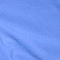"A Solid Color" Women's (Swim) Board Shorts - Regular Rise / 5" Inseam (Baby Blue) - Board Shorts World