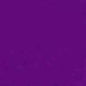 A Solid Color (Purple) Womens Board/Swim Shorts - 11"