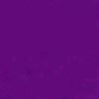 "A Solid Color" Women's Board Shorts - Regular Rise / 10.5" Inseam (Purple) - Board Shorts World