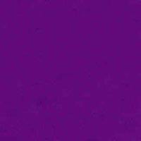 "A Solid Color" Mens (9.5" Inseam / 22" Outseam) Swim Trunks (Purple) - Board Shorts World