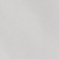 "A Solid Color" Women's (Swim) Board Shorts - Regular Rise / 5" Inseam (Silver) - Board Shorts World