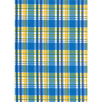 **Fixed (Non Elastic) Waist Board Shorts "Nantucket Plaid" (Blue) Print Mens CUSTOM